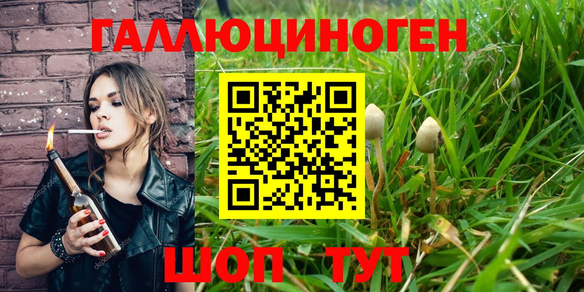 Псилоцибиновые грибы Psilocybe  Галлюциногенные грибы MAGIC MUSHROOMS  Новошахтинск  Вход с VPN 